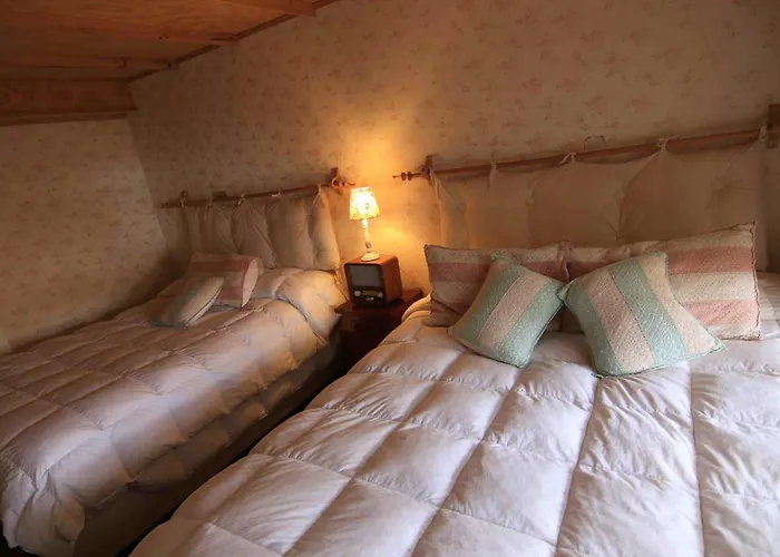 Bamba House Hostal *
